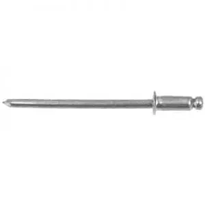 inch Stainless Steel Rivet Small Flange Grip  inch   inch WF
