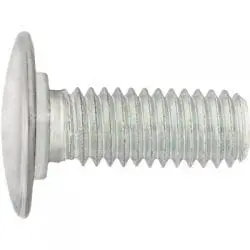 Bumper Bolt Stainless Steel Cap   inch  inch Flat Head WF
