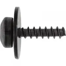 FordTorxPanHeadSemsTappingScrewwithLooseWasher WF