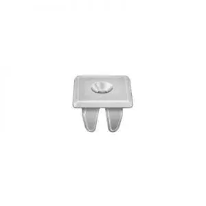 Nylon Nut  Screw Hole