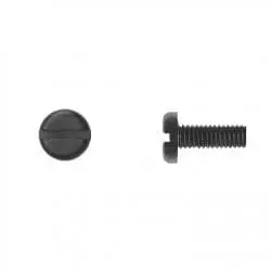 Pan Head Slotted Black Nylon License Screw