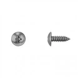 Philipps Truss Head Zinc License Plate Screw   WF