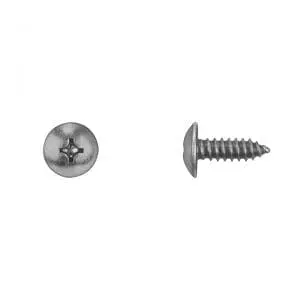 Philipps Truss Head Zinc License Plate Screw   WF