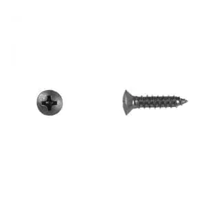 Phillips Oval Black Sheet Metal Screw    Head WF