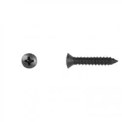 Phillips Oval Black Sheet Metal Screws    Head WF