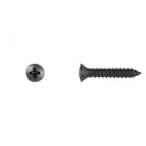 Phillips Oval Black Sheet Metal Screws    Head WF