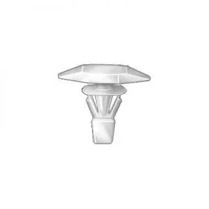 Push Nail   inch Hole White w Strip WF