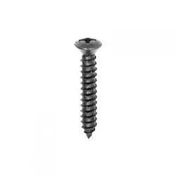 Screw Phillips Pan Head Oval Black   Hd WF