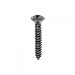 Screw Phillips Pan Head Oval Black   WF