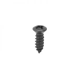 Screw Phillips Pan Head Oval Black   WF