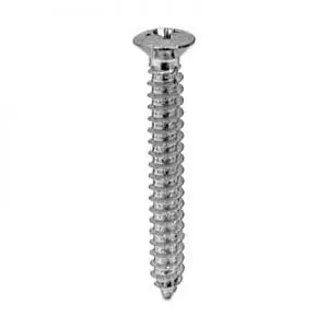 Screw Phillips Pan Head Oval Chrome Pltd   Hd WF