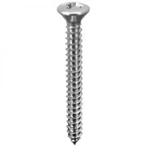 Screw Phillips Pan Head Oval Chrome Pltd    WF
