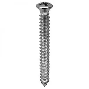 Screw Phillips Pan Head Oval Chrome Pltd   Hd WF