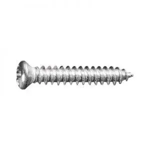 Screw Phillips Pan Head Oval Chrome Pltd   Hd WF