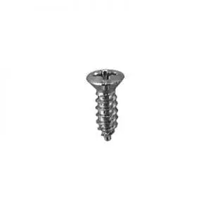 Screw Phillips Pan Head Oval Chrome Pltd  Hd WF