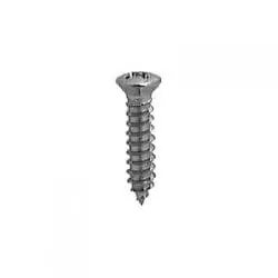 Screw Phillips Pan Head Oval Chrome Pltd  Hd WF