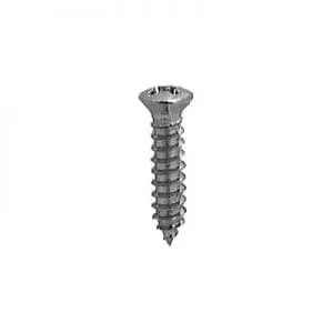 Screw Phillips Pan Head Oval Chrome Pltd  Hd WF