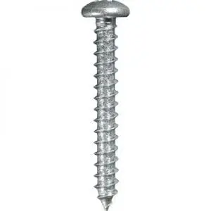 Screw Phillips Pan Head Zinc Plated    WF