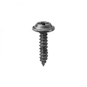 Screw Phillips Pozi Drive Round Head Black