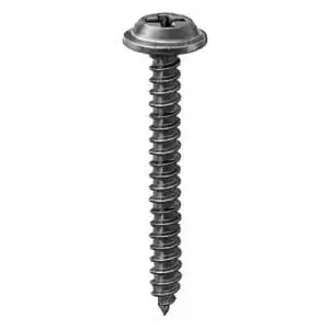 Screw Phillips Pozi Drive Round Head Black