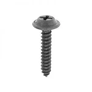 Screw Phillips Pozi Drive Round Head Black