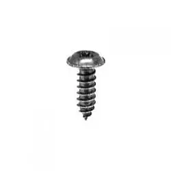 Screw Phillips Pozi Drive Round Head Black mm  WF