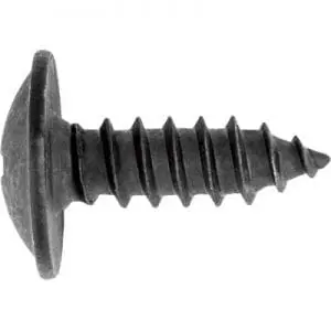 Screw Phillips Truss Head Black