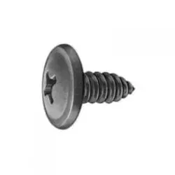 Screw Phillips Truss Head Black
