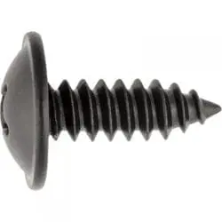Screw Phillips Truss Head Black