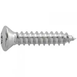 ScrewTorxStainlessOvalChromePltd.mmxmm