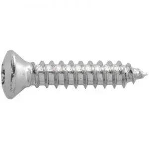 ScrewTorxStainlessOvalChromePltd.mmxmm