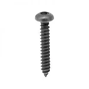 Screw Torx Stainless Pan Black
