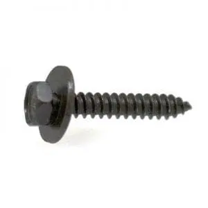 Tap Screw Loose