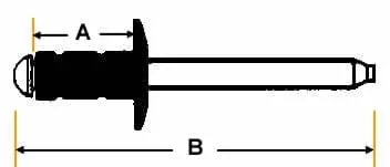 automotive rivet section