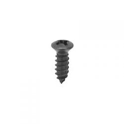 Screw Phillips Pan Head Oval Black   WF