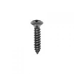 Screw Phillips Pan Head Oval Black   WF