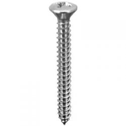 Screw Phillips Pan Head Oval Chrome Pltd    WF