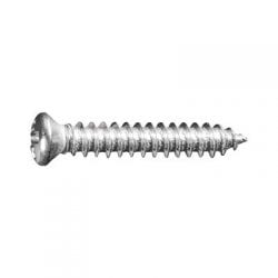 Screw Phillips Pan Head Oval Chrome Pltd   Hd WF