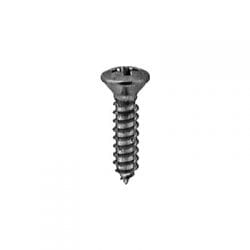 Screw Phillips Pan Head Oval Chrome Pltd   WF