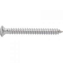 Screw Torx Oval Chrome Pltd mm mm WF