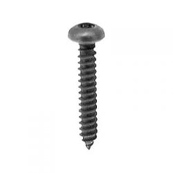 Screw Torx Stainless Pan Black