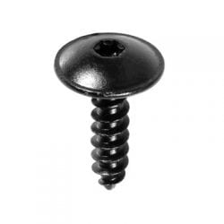 Screw Torx Truss Head Black